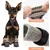 Qinhul Chaussettes antidérapantes et imperméables pour chien