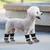 Qinhul Chaussettes antidérapantes pour chien