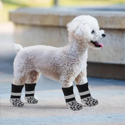 Qinhul Chaussettes antidérapantes pour chien