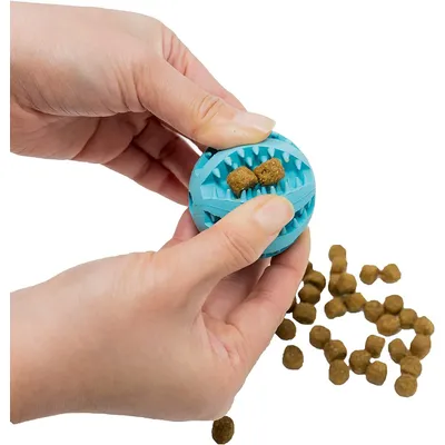 Jouets de dentition pour chiens Balles