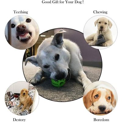 Jouets de dentition pour chiens Balles