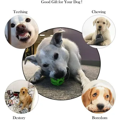 Jouets de dentition pour chiens Balles