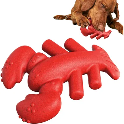 Reitlaze Jouets à mâcher pour chiens