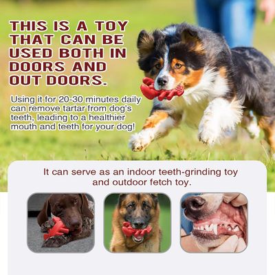 Reitlaze Jouets à mâcher pour chiens