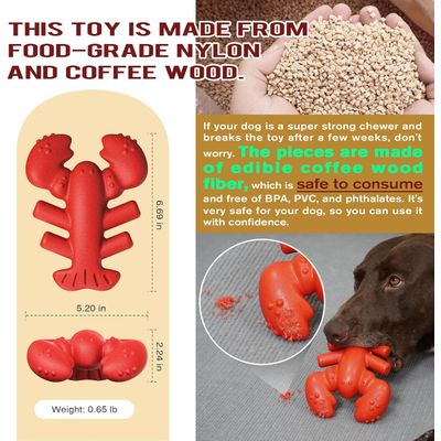 Reitlaze Jouets à mâcher pour chiens
