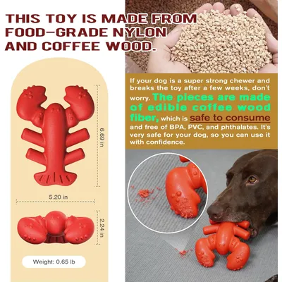 Reitlaze Jouets à mâcher pour chiens