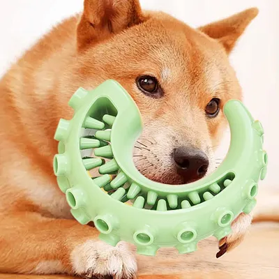 KPYTE Jouets de dentition pour chiens