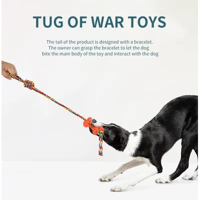 Jouet en corde pour chien, jouet à mâcher en caoutchouc