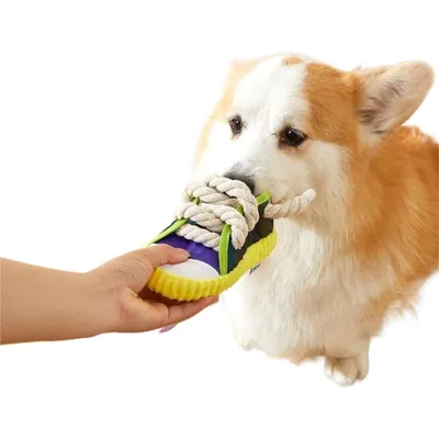 Reitlaze Chaussons en corde de coton pour chiens, jouets sonores