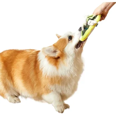 Chaussons en corde de coton pour chiens, jouets sonores