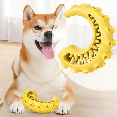 KPYTE Jouets de dentition pour chiens