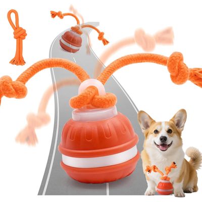 Balle auto-roulante pour chien