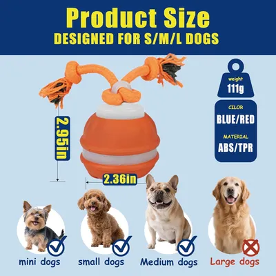 Balle auto-roulante pour chien