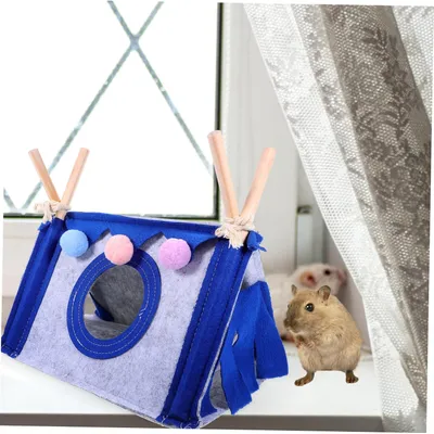 Qinhul Tente cachette pour cochon d'Inde