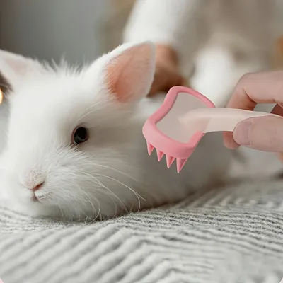 Brosse de toilettage pour chinchilla
