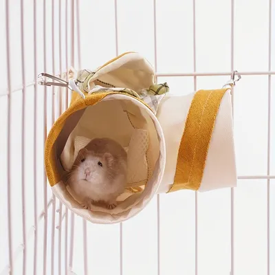 Tunnel d'angle pour cochon d'Inde