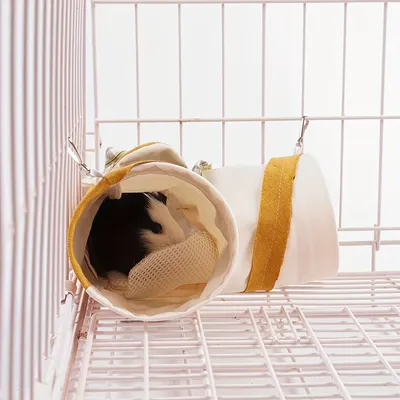 Tunnel d'angle pour cochon d'Inde