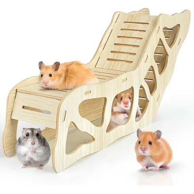 Tunnel pour hamster, Cachette pour hamster grimpant à l'échelle