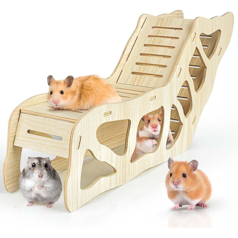 Tunnel pour hamster, Cachette pour hamster grimpant à l'échelle