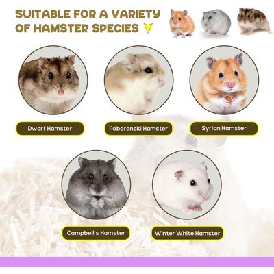 Tunnel pour hamster, Cachette pour hamster grimpant à l'échelle