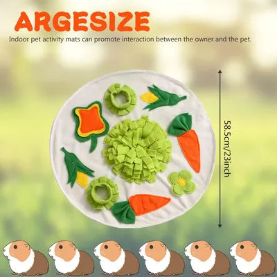 Qinhul Tapis d'alimentation pour lapins