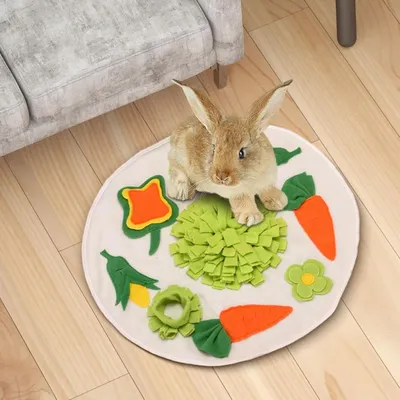 Qinhul Tapis d'alimentation pour lapins
