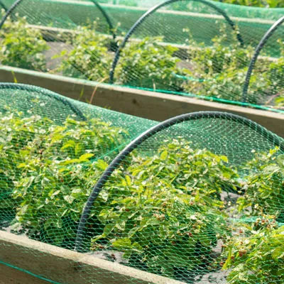 Wiltec Filet anti-oiseaux - 4 x 10 m / Maille 15 x 15 mm - en Polyéthylène