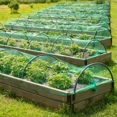 Wiltec Filet anti-oiseaux - 4 x 10 m / Maille 15 x 15 mm - en Polyéthylène