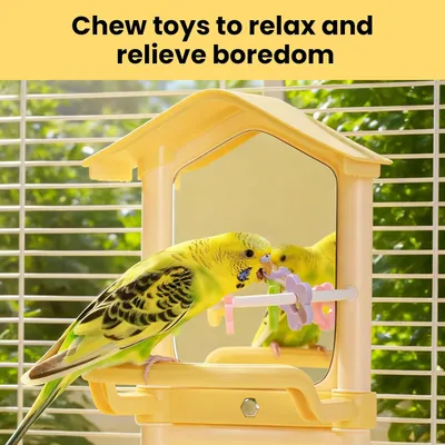 Miroir oiseau avec support perchoir