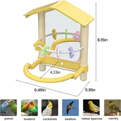 Miroir oiseau avec support perchoir