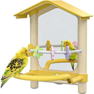 Miroir oiseau avec support perchoir Miroir oiseau avec support perchoir