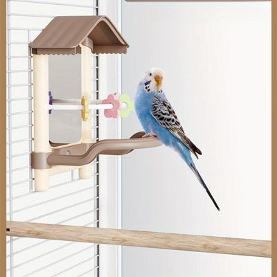 Miroir oiseau avec support perchoir