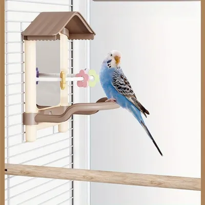 Reitlaze Espejo para pájaros con soporte para percha