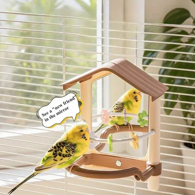 Miroir oiseau avec support perchoir