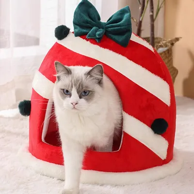 Qinhul Maison de Noël en peluche pour chat et chien