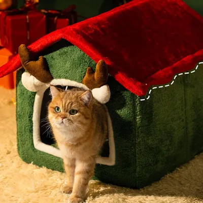 Qinhul Maison de chat de Noël chaleureuse et hivernale