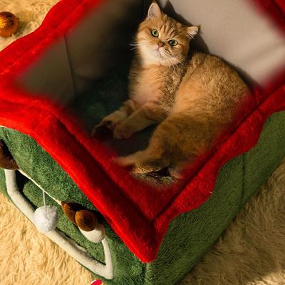 Qinhul Maison de chat de Noël chaleureuse et hivernale