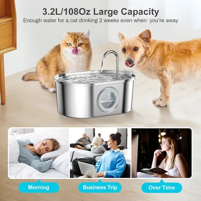 Fontaine à eau pour chat, 3,2 L, acier inoxydable