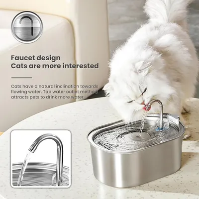 Fontaine à eau pour chat, 3,2 L, acier inoxydable