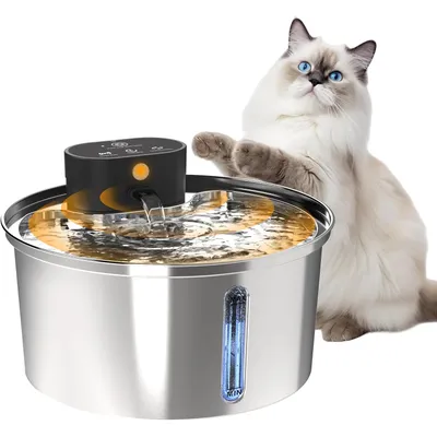 Reitlaze Fontaine pour chat - Fenêtre transparente