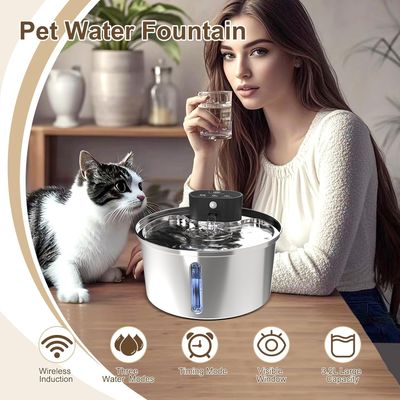 Reitlaze Fontaine pour chat - Fenêtre transparente