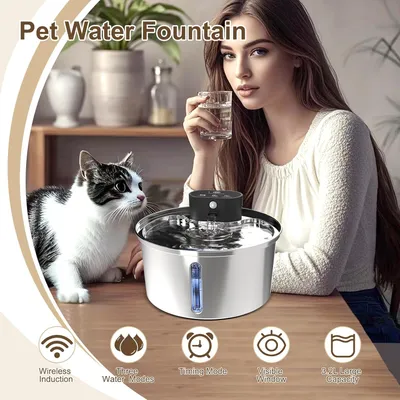 Reitlaze Fontaine pour chat - Fenêtre transparente