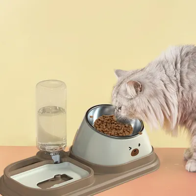 KPYTE Gamelle 3 en 1 pour chat et chien