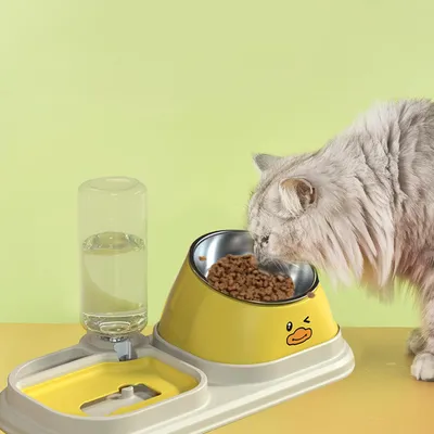 KPYTE Gamelle 3 en 1 pour chat et chien