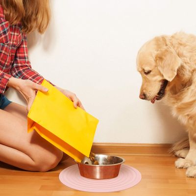 Tapis d'alimentation en silicone pour animaux de compagnie