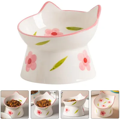 Gamelles surélevées en céramique pour animaux de compagnie