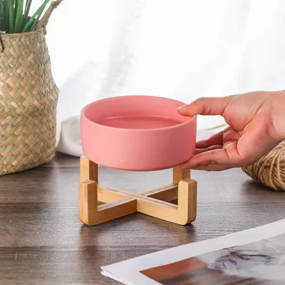 KPYTE Gamelle surélevée en céramique pour chat