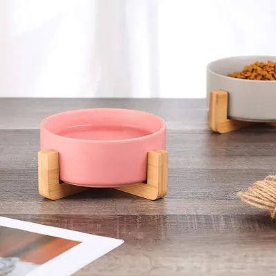 KPYTE Gamelle surélevée en céramique pour chat