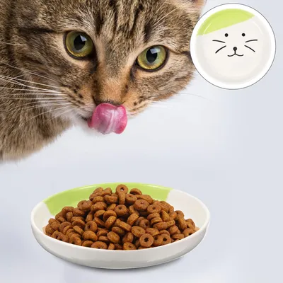 KPYTE Assiette en céramique chat
