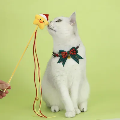 Qinhul Collier de Noël avec nœud pour chat